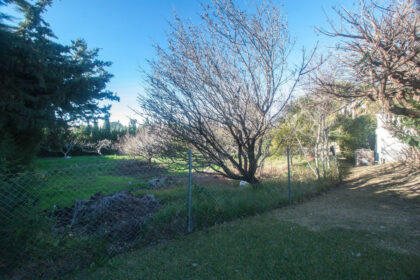 8b5e16cf52a9f9996e479969c809fa83 - 44