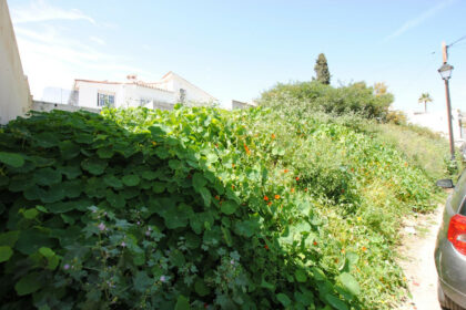 8c02238fa53d08bc1ec3919f1d3e5468 - 2