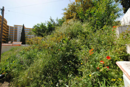 8c02238fa53d08bc1ec3919f1d3e5468 - 4