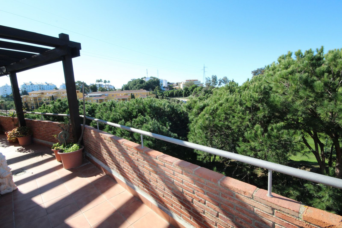 8c59ae277ea91c12e829b76fef4c0da1 - 18