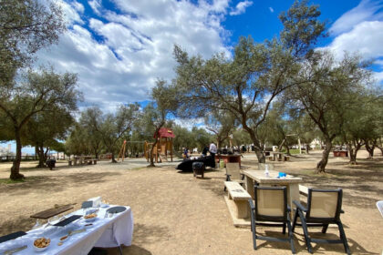 8d4e3032ba3605bc888f8fd883577c2d - 43