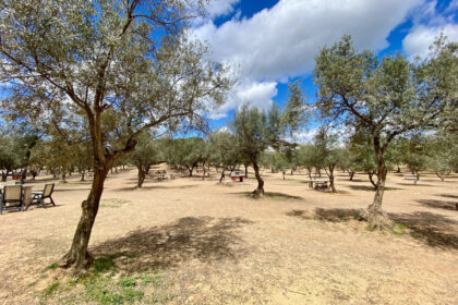 8d4e3032ba3605bc888f8fd883577c2d - 45