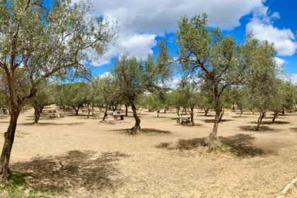 8d4e3032ba3605bc888f8fd883577c2d - 46