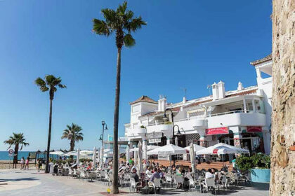 8d4e3032ba3605bc888f8fd883577c2d - 50