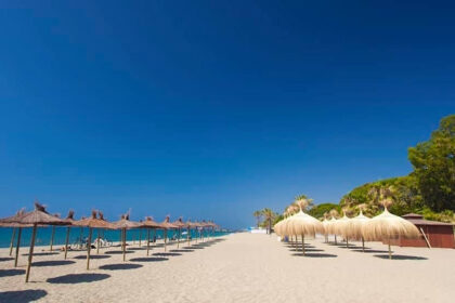 8d4e3032ba3605bc888f8fd883577c2d - 51