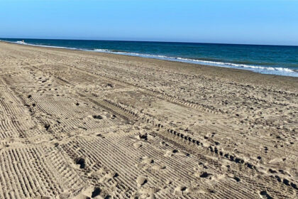 8d4e3032ba3605bc888f8fd883577c2d - 52