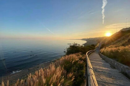 8d4e3032ba3605bc888f8fd883577c2d - 54