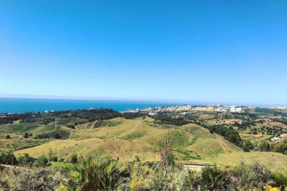 8d4e3032ba3605bc888f8fd883577c2d - 57