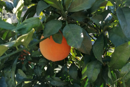 90a04b216c0ccc38aa6e1efccd4b4ed3 - 3