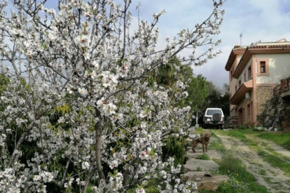 90a04b216c0ccc38aa6e1efccd4b4ed3 - 4