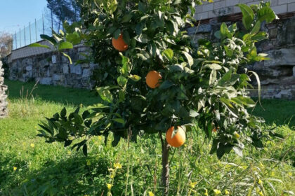 90a04b216c0ccc38aa6e1efccd4b4ed3 - 5