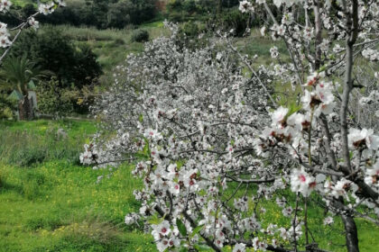 90a04b216c0ccc38aa6e1efccd4b4ed3 - 6