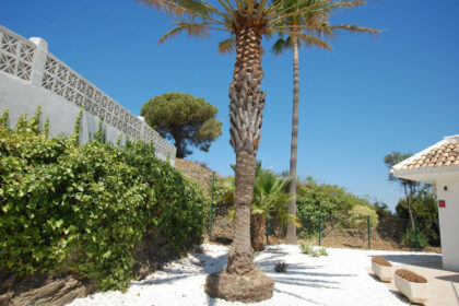 91e545256e1678aadc497e733d25c9b6 - 57