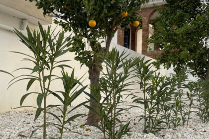 91e545256e1678aadc497e733d25c9b6 - 89