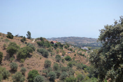 9290807d17f2b952997ae9be38671745 - 2