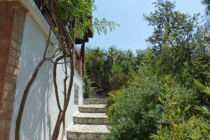 9290807d17f2b952997ae9be38671745 - 22