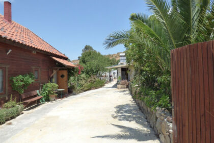 9290807d17f2b952997ae9be38671745 - 3