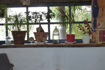 9290807d17f2b952997ae9be38671745 - 31