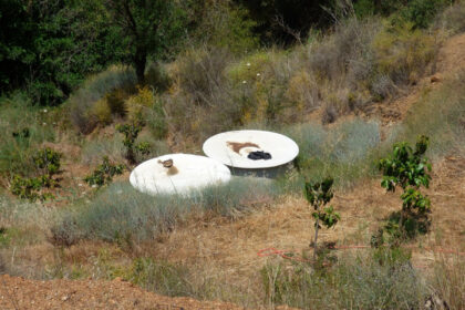 9290807d17f2b952997ae9be38671745 - 34