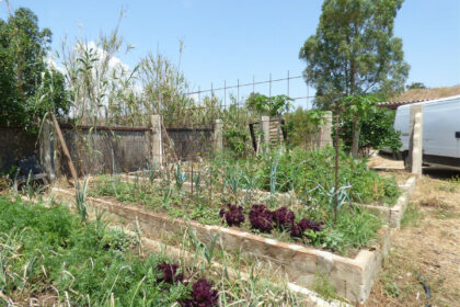 9290807d17f2b952997ae9be38671745 - 35