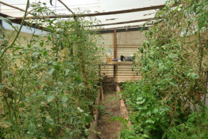 9290807d17f2b952997ae9be38671745 - 36