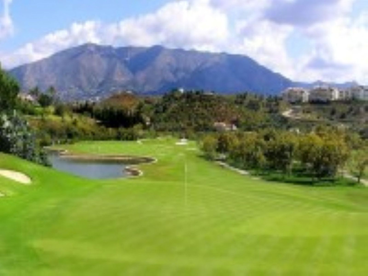 92ff7a9a35d5b08ece9c0749e5851846 - 29