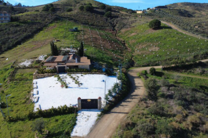 955ca5ea7868dcc2cc4e1b0552dc51dc - 1