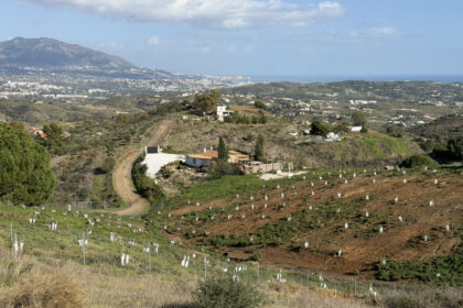 955ca5ea7868dcc2cc4e1b0552dc51dc - 22