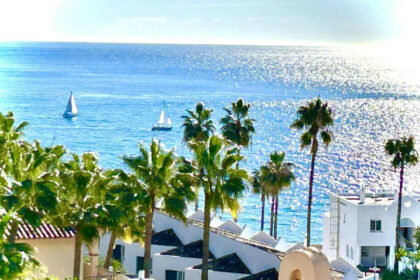 969d0f48b8844e4ecec32d2b5660e63a - 46