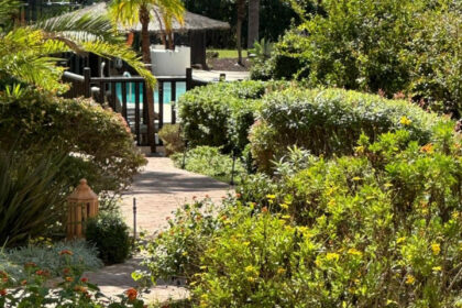 96df8c78be3a9bf4300ed7dbcf54371a - 8