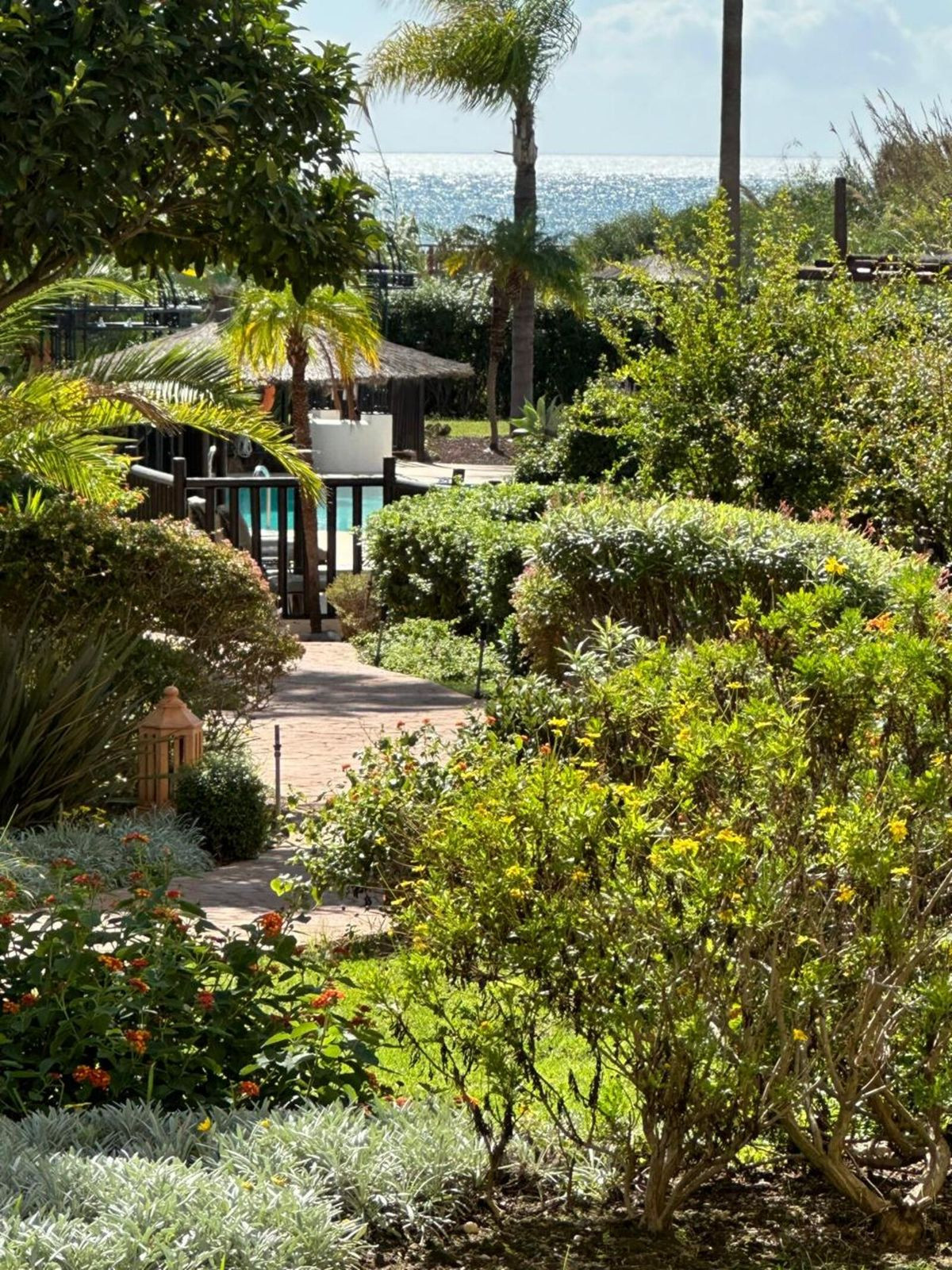 96df8c78be3a9bf4300ed7dbcf54371a - 8