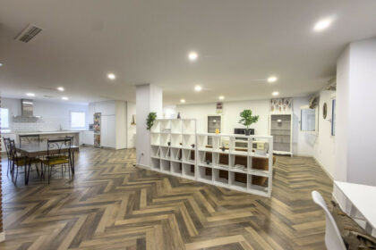 978e544763f468eaf06b6c9b1c62d631 - 1