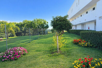 9ccc78a5621651aa1a4e76cfe2e10c28 - 16