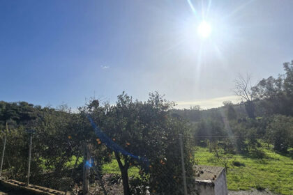 9f19a7fb38188c05870577ad305b1703 - 62