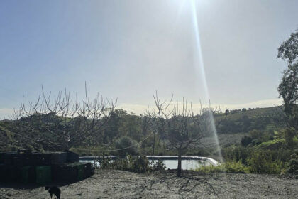 9f19a7fb38188c05870577ad305b1703 - 64