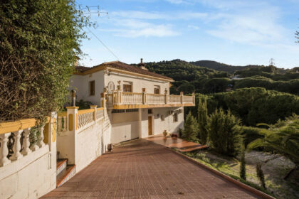 a006a8800f8e691638e2b07d96ea0657 - 24