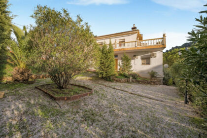 a006a8800f8e691638e2b07d96ea0657 - 25