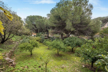 a006a8800f8e691638e2b07d96ea0657 - 26