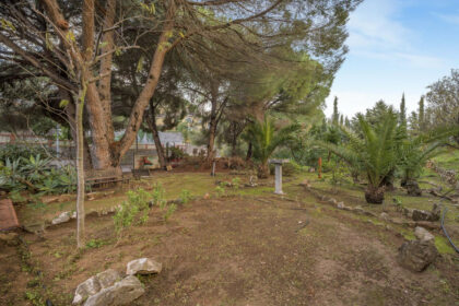 a006a8800f8e691638e2b07d96ea0657 - 27