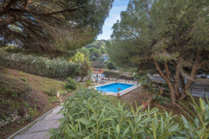 a006a8800f8e691638e2b07d96ea0657 - 28