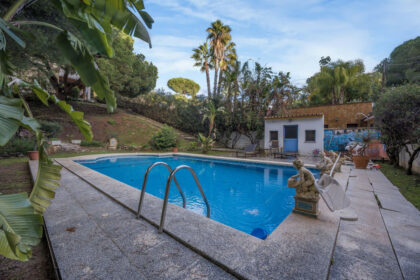 a006a8800f8e691638e2b07d96ea0657 - 30