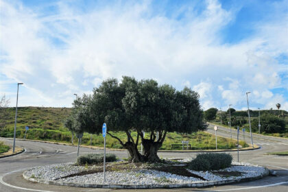 a1c1e989b21d7a792987947c19196daf - 7