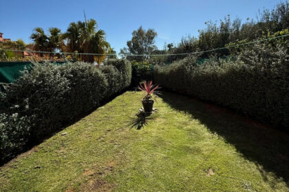 a32d292e7740444bfdb30a4916d9809b - 13