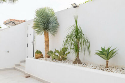 a362675064795a8f53b79971c1874c0a - 28