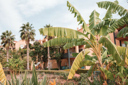 a4e434c0d3afd68923013e4bc7e6506a - 17