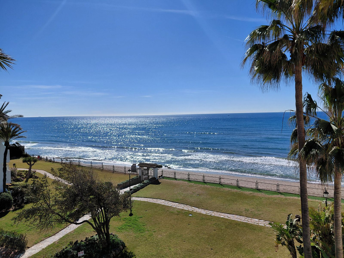 a523ab06dad68f0f419c4f6e2023892c - 1