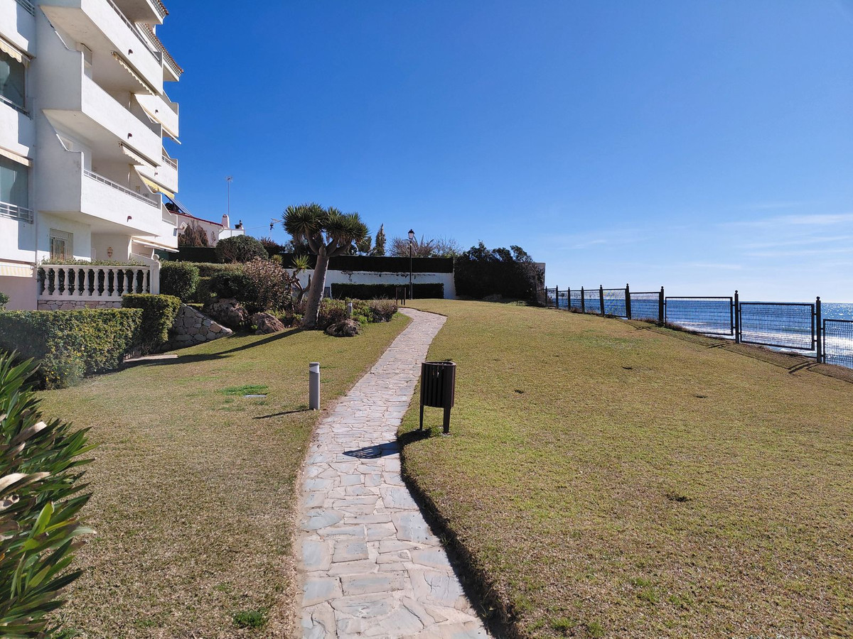 a523ab06dad68f0f419c4f6e2023892c - 21