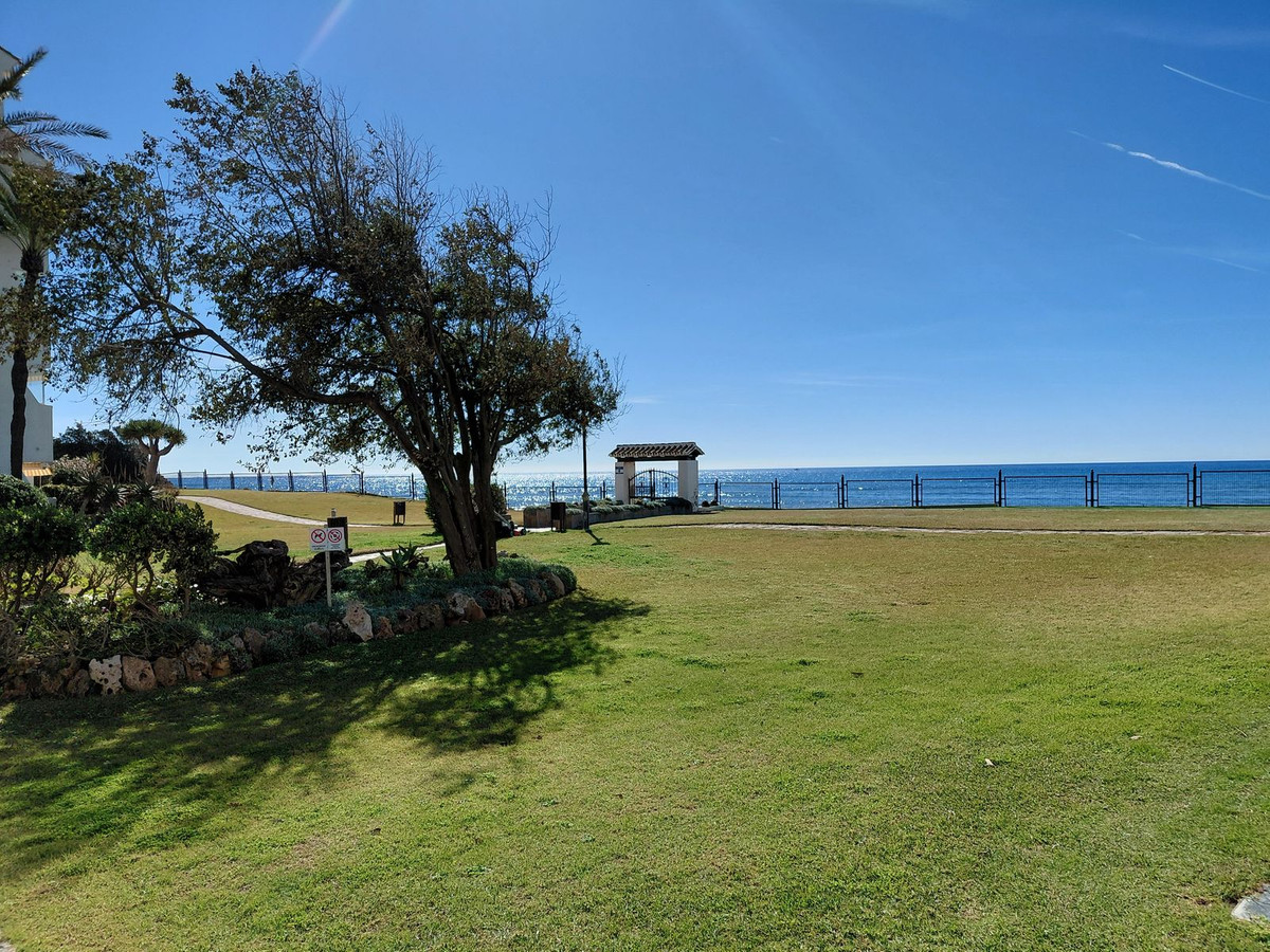 a523ab06dad68f0f419c4f6e2023892c - 24