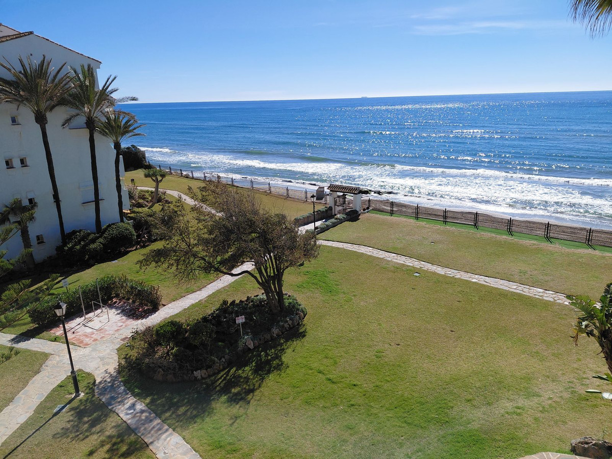 a523ab06dad68f0f419c4f6e2023892c - 25