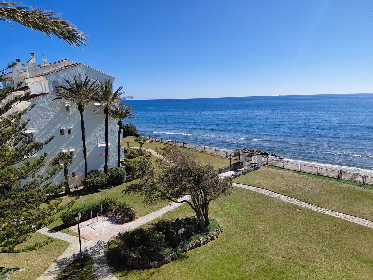 a523ab06dad68f0f419c4f6e2023892c - 26